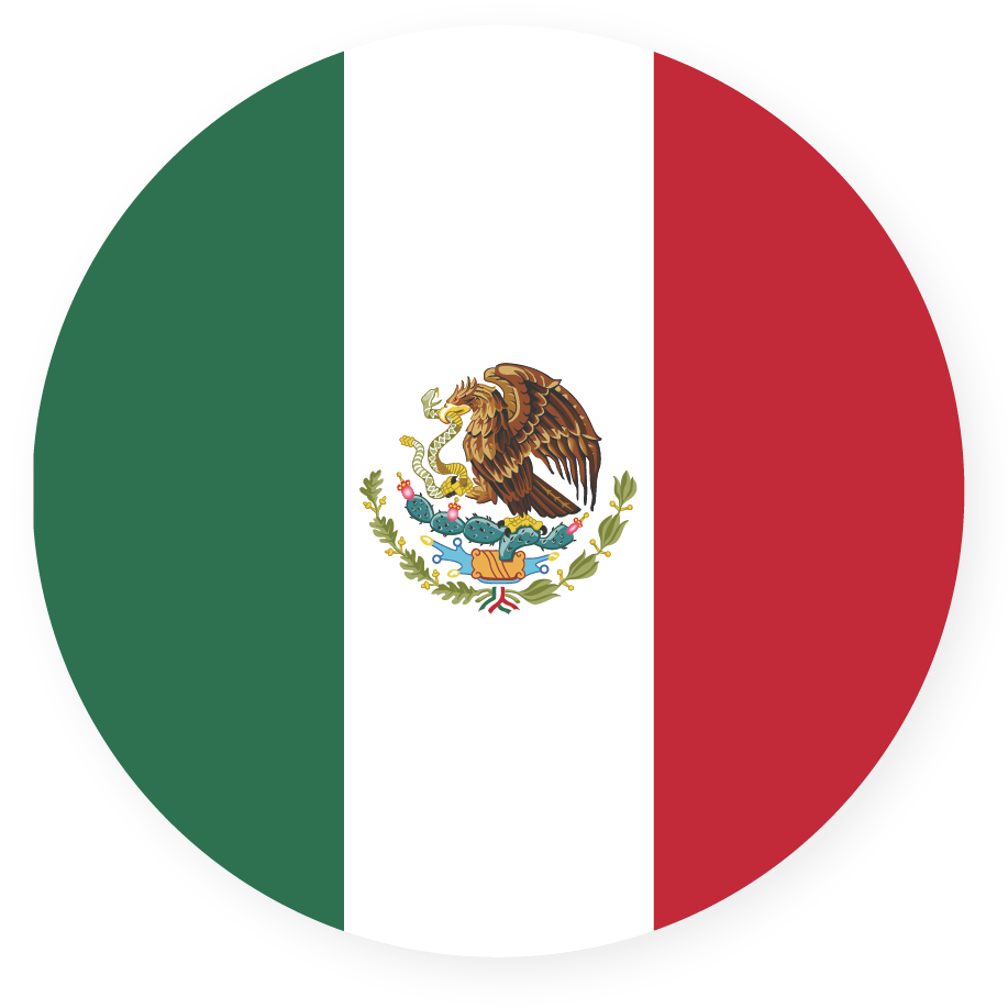Mexico flag